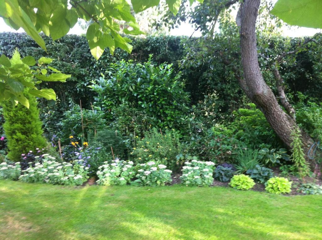 Bonningtons Stansted Self Catering Hotel Stansted Mountfitchet Quarto foto