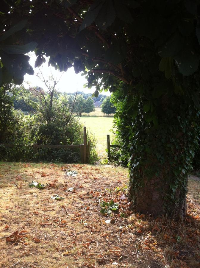 Bonningtons Stansted Self Catering Hotel Stansted Mountfitchet Quarto foto
